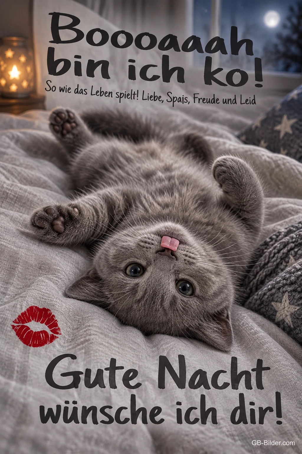 Graues Kätzchen liegt auf dem Rücken im Bett, Text: Boooaaah bin ich ko! So wie das Leben spielt! Liebe, Spaß, Freude und Leid – Gute Nacht wünsche ich dir!