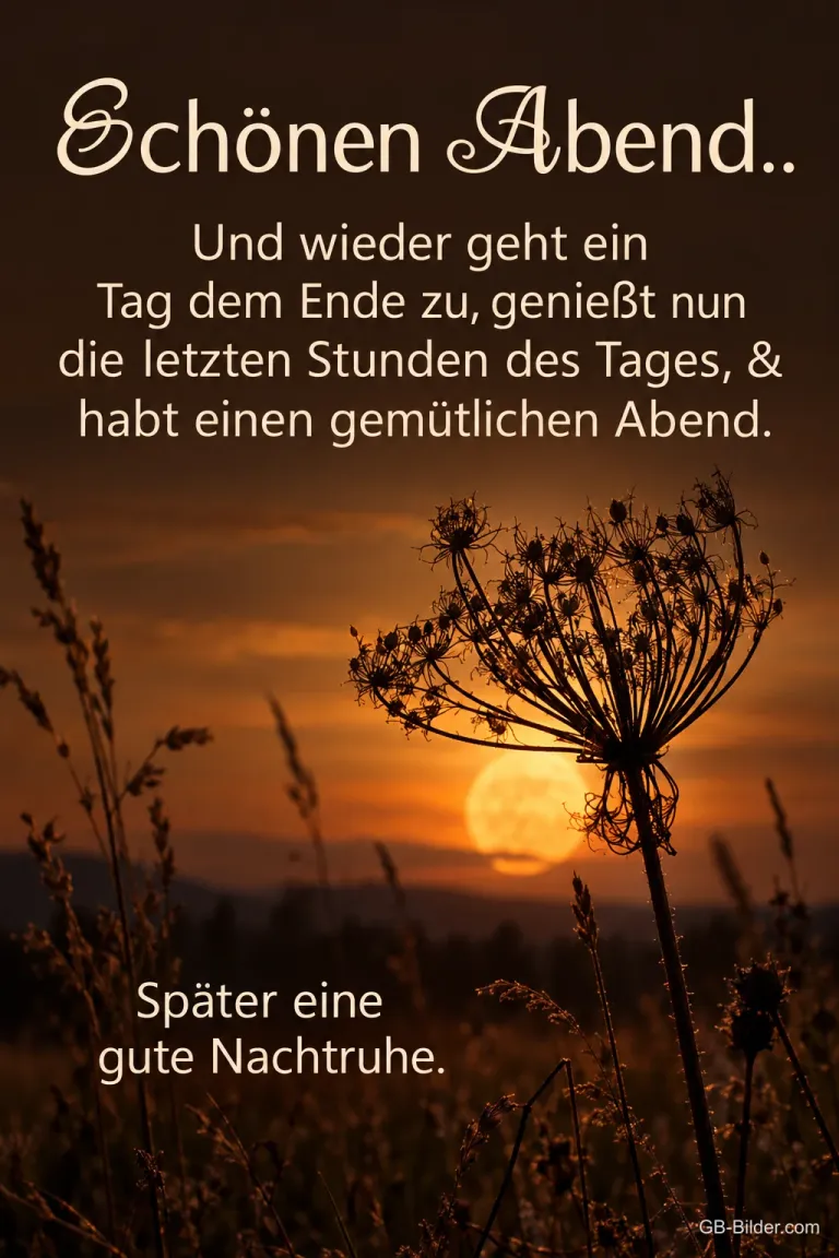 Verblühte Doldenblüte vor dem Sonnenuntergang, Text: Schönen Abend.. Und wieder geht ein Tag dem Ende zu, genießt nun die letzten Stunden des Tages, & habt einen gemütlichen Abend. Später eine gute Nachtruhe.