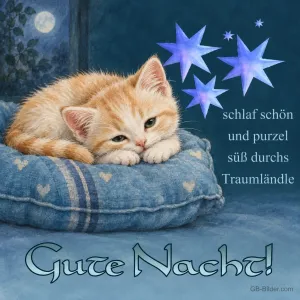 Rotes Kätzchen liegt auf einem blauen Kissen unter Sternen, Text: schlaf schön und purzel süß durchs Traumländle – Gute Nacht!