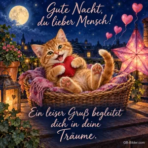 Rotes Kätzchen liegt mit Herz in einem Korb auf dem Balkon unter dem Vollmond, Text: Gute Nacht, du lieber Mensch! Ein leiser Gruß begleitet dich in deine Träume.