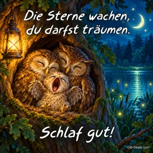 Eulenfamilie kuschelt in einer Baumhöhle mit Laterne, ein Eulenküken gähnt, Text: Die Sterne wachen, du darfst träumen. Schlaf gut!