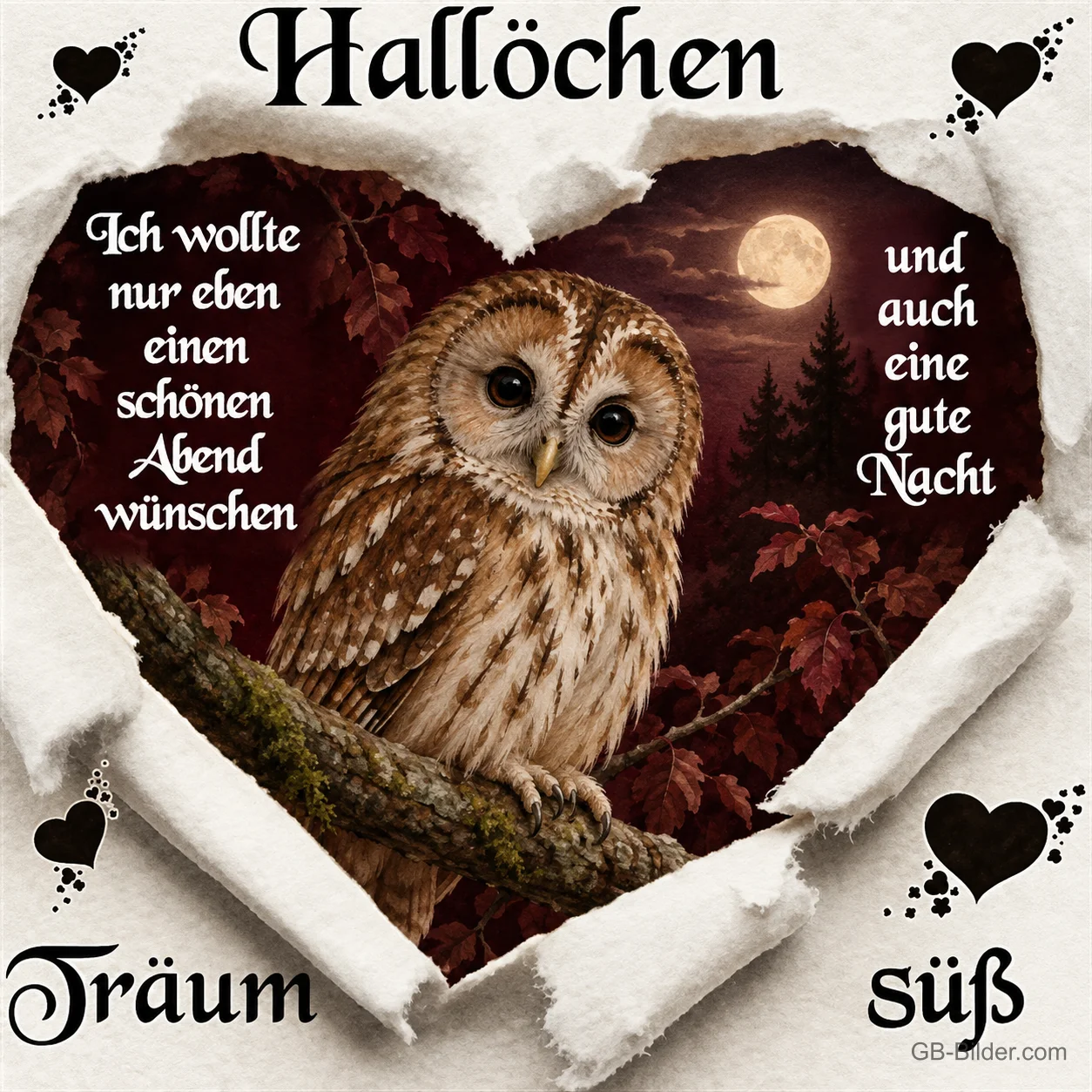 Waldkauz auf einem Ast in einem herzförmigen Papierausschnitt, Text: Hallöchen – Ich wollte nur eben einen schönen Abend wünschen und auch eine gute Nacht. Träum süß