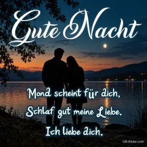 Paar steht am Seeufer in der Abenddämmerung, Text: Gute Nacht – Mond scheint für dich, Schlaf gut meine Liebe. Ich liebe dich.