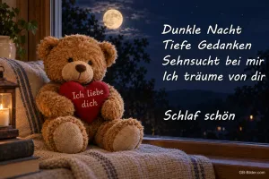 Teddybär mit rotem Herz am Fenster bei Vollmond, Text: Dunkle Nacht, tiefe Gedanken, Sehnsucht bei mir, ich träume von dir. Schlaf schön