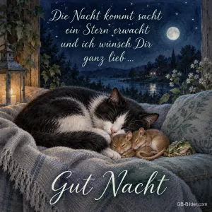 Katze und Mäuse schlafen, Text: Die Nacht kommt sacht ein Stern erwacht und ich wünsch Dir ganz lieb