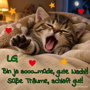 Gähnendes Kätzchen, Text: LG