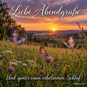 Schmetterlinge über einer Wiese im Abendrot, Text: Liebe Abendgrüße – Und später einen erholsamen Schlaf!