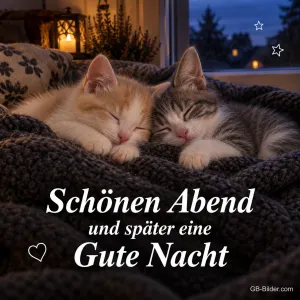 Zwei Kätzchen schlafen in einer Wolldecke, Text: Schönen Abend – und später eine Gute Nacht