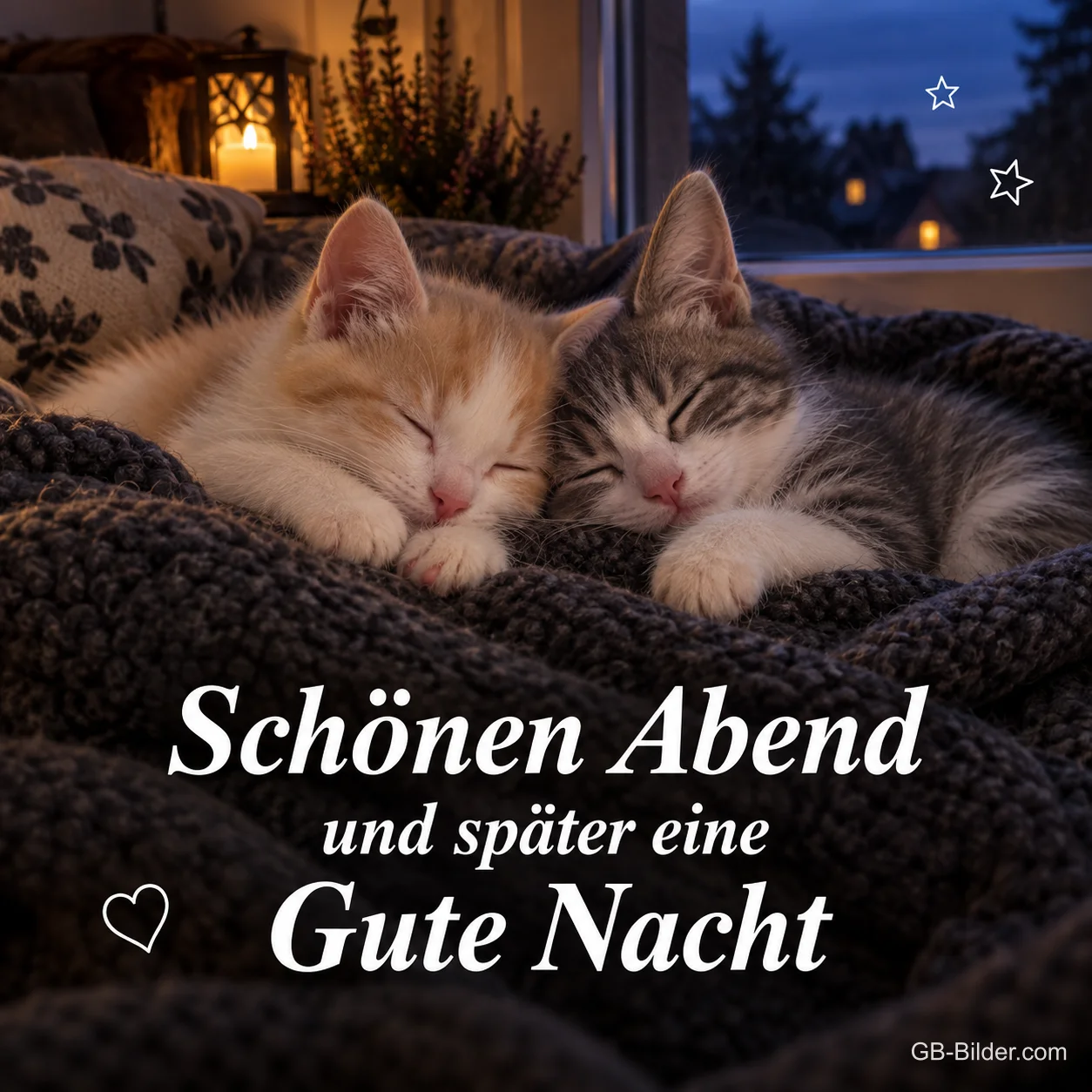 Zwei Kätzchen schlafen in einer Wolldecke, Text: Schönen Abend – und später eine Gute Nacht Zwei Kätzchen schlafen in einer Wolldecke, Text: Schönen Abend – und später eine Gute Nacht