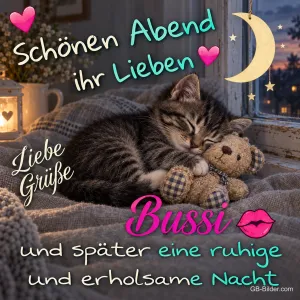 Kätzchen mit Teddy, Text: Schönen Abend ihr Lieben