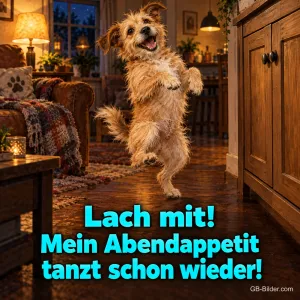 Zotteliger Hund tanzt auf den Hinterbeinen im Wohnzimmer, Text: Lach mit! – Mein Abendappetit tanzt schon wieder!