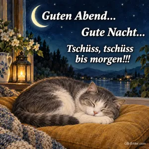 Getigerte Katze schläft auf einem Kissen am Fenster, Text: Guten Abend… Gute Nacht… Tschüss, tschüss bis morgen!!!