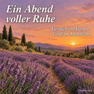 Lavendelfeld mit Zypressen bei Sonnenuntergang, Text: Ein Abend voller Ruhe – Für dich ein kleiner Gruß im Abendlicht.