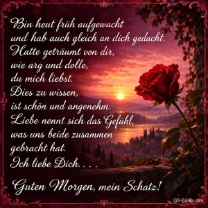 Rote Rose im Sonnenaufgang, Liebesgedicht, Text: Bin heut früh aufgewacht und hab auch gleich an dich gedacht