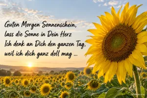 Sonnenblumenfeld bei Sonnenaufgang, Text: Guten Morgen Sonnenschein, lass die Sonne in Dein Herz. Ich denk an Dich den ganzen Tag, weil ich dich ganz doll mag …
