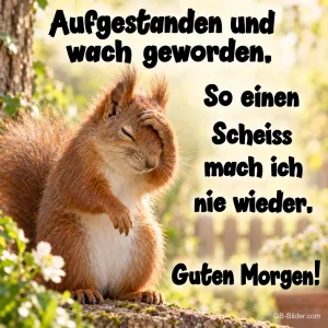Müdes Eichhörnchen, lustiger Spruch, Text: Aufgestanden und wach geworden