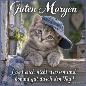 Kätzchen mit Kappe, Text: Guten Morgen