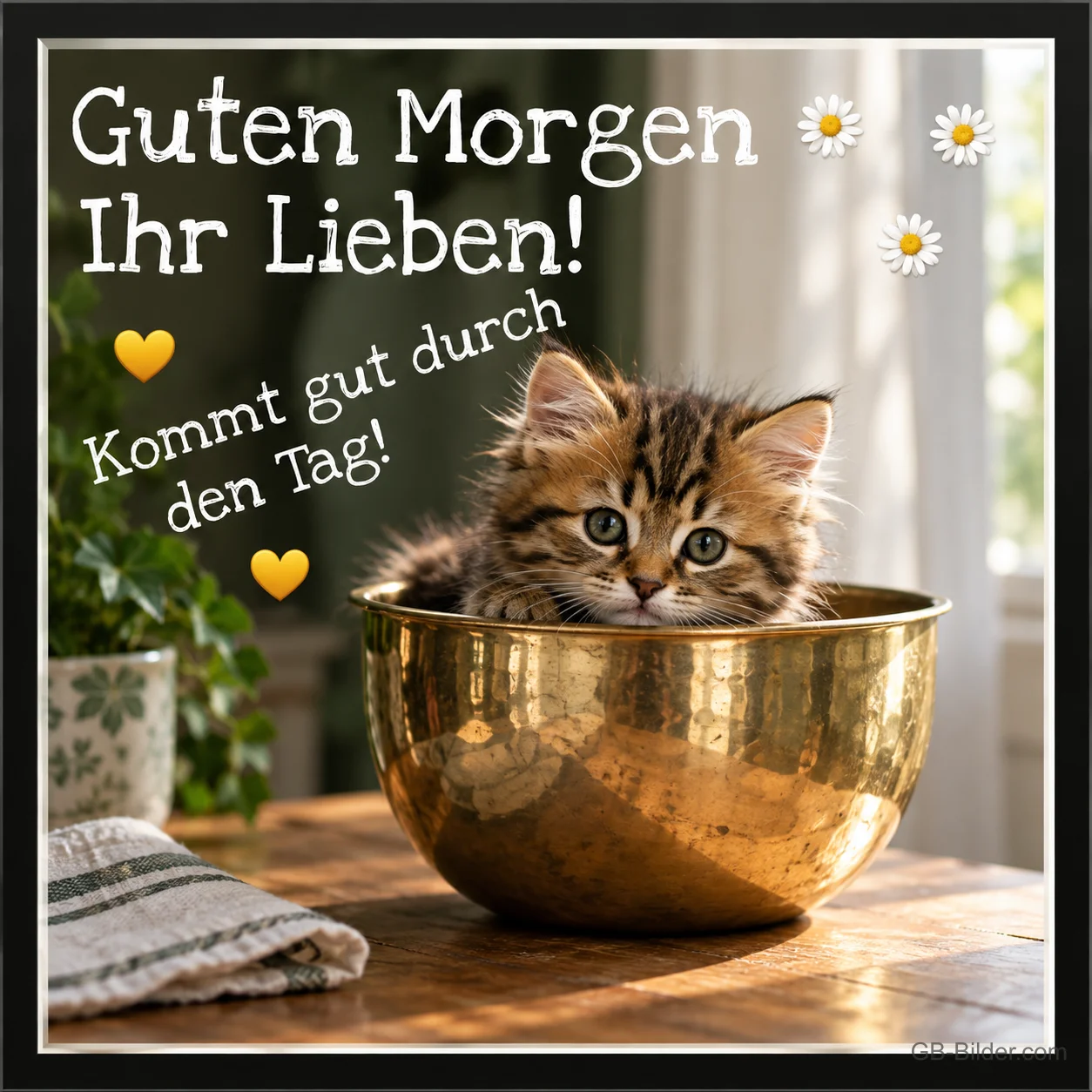 Kätzchen in der Schüssel, Text: Guten Morgen Ihr Lieben