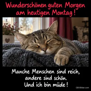 Schlafende Katze, lustiger Spruch, Text: Wunderschönen guten Morgen am heutigen Montag
