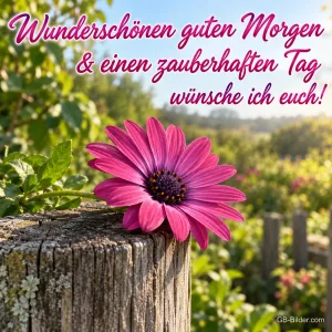 Pinke Kapkörbchenblüte auf einem alten Holzpfosten im Garten, Text: Wunderschönen guten Morgen & einen zauberhaften Tag wünsche ich euch!