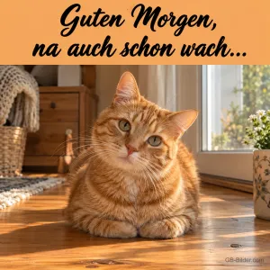 Rote Katze liegt auf dem Holzboden im Morgenlicht, Text: Guten Morgen, na auch schon wach…