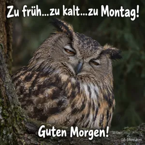 Müder Uhu mit halb geschlossenen Augen auf einem Ast, Text: Zu früh…zu kalt…zu Montag! Guten Morgen!