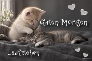 Kätzchen weckt ein schlafendes Kätzchen auf einer Decke, Text: Guten Morgen …aufstehen