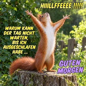 Verzweifeltes Eichhörnchen, lustiger Spruch, Text: HIIILLFFEEE