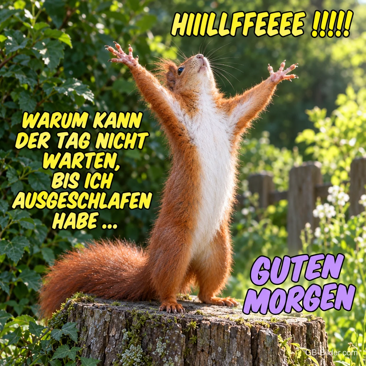 Verzweifeltes Eichhörnchen, lustiger Spruch, Text: HIIILLFFEEE