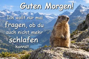 Murmeltier steht auf einem Felsen vor Alpengipfeln, Text: Guten Morgen! Ich wollt nur mal fragen, ob du auch nicht mehr schlafen kannst