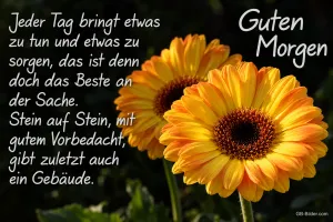 Zwei gelbe Gerbera vor dunklem Hintergrund, Text: Guten Morgen – Jeder Tag bringt etwas zu tun und etwas zu sorgen, das ist denn doch das Beste an der Sache. Stein auf Stein, mit gutem Vorbedacht, gibt zuletzt auch ein Gebäude.