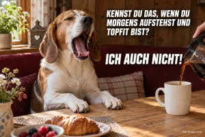 Beagle gähnt am Frühstückstisch, während Kaffee eingeschenkt wird, Text: KENNST DU DAS, WENN DU MORGENS AUFSTEHST UND TOPFIT BIST? ICH AUCH NICHT!