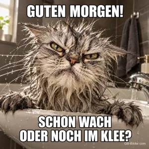 Nasse, grimmig schauende Katze im Waschbecken, Text: GUTEN MORGEN! SCHON WACH ODER NOCH IM KLEE?