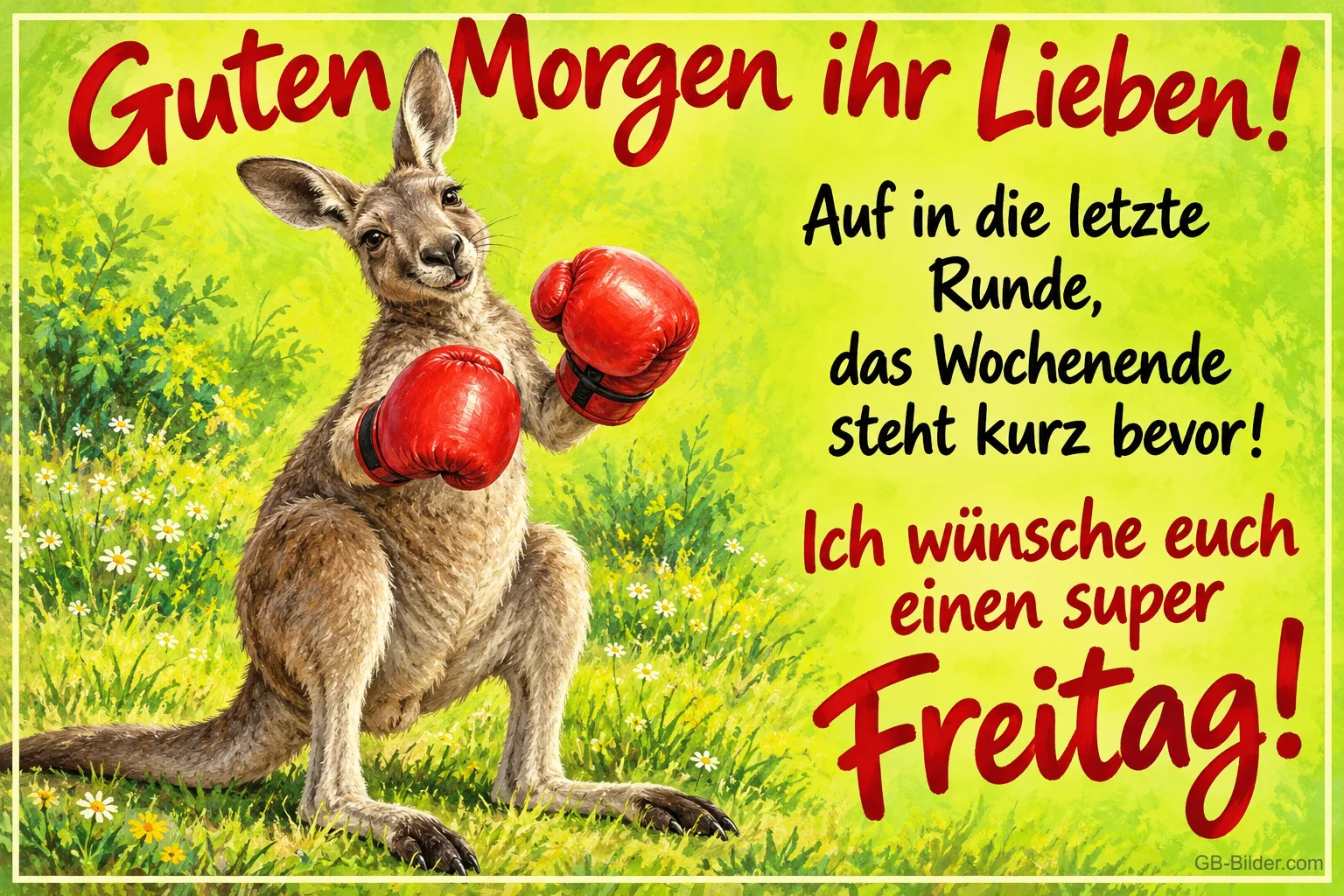 Känguru mit roten Boxhandschuhen auf einer Wiese, Text: Guten Morgen ihr Lieben! Auf in die letzte Runde, das Wochenende steht kurz bevor! Ich wünsche euch einen super Freitag!