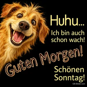 Hund grinst mit großen Augen, Text: Huhu... Ich bin auch schon wach! Guten Morgen! Schönen Sonntag!