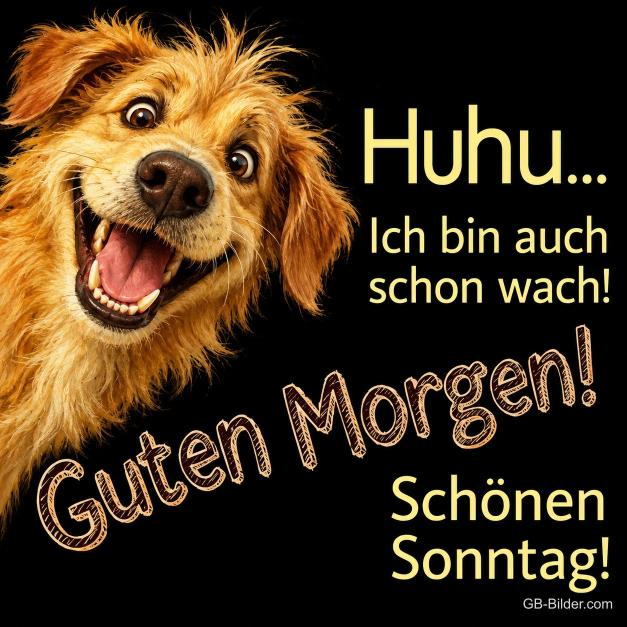 Hund grinst mit großen Augen, Text: Huhu... Ich bin auch schon wach! Guten Morgen! Schönen Sonntag! Hund grinst mit großen Augen, Text: Huhu... Ich bin auch schon wach! Guten Morgen! Schönen Sonntag!