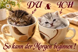 Zwei Kätzchen in Kaffeetassen, Text: Du und Ich – So kann der Morgen beginnen!