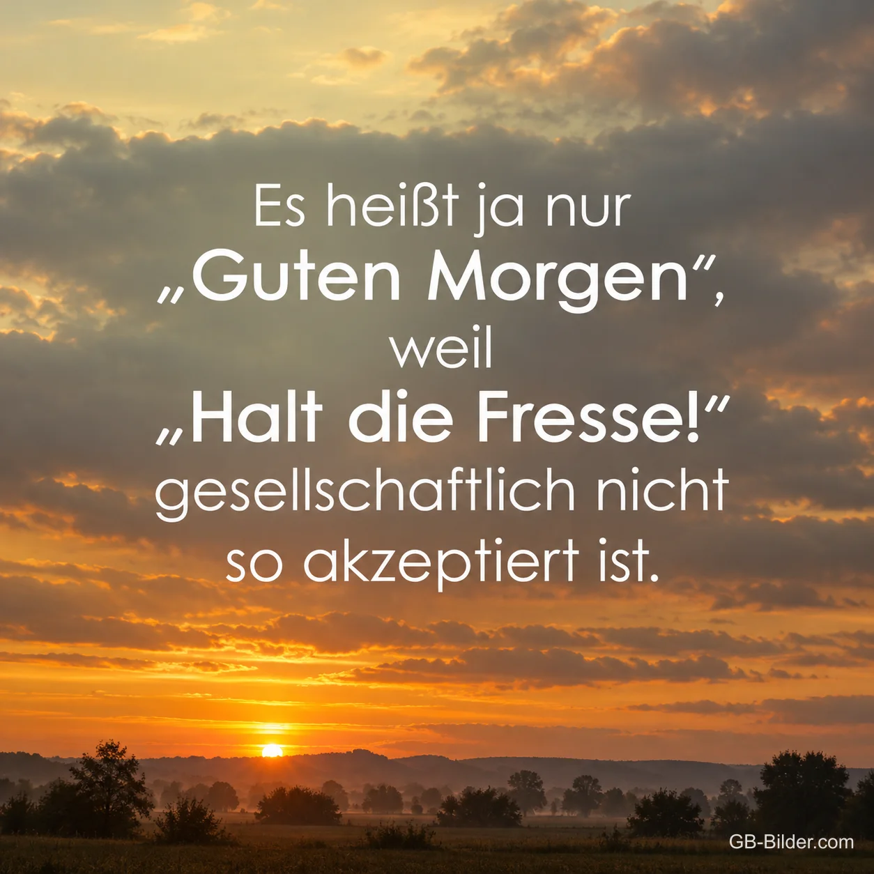 Sonnenaufgang über einer Landschaft, lustiger Spruch: Es heißt ja nur Guten Morgen