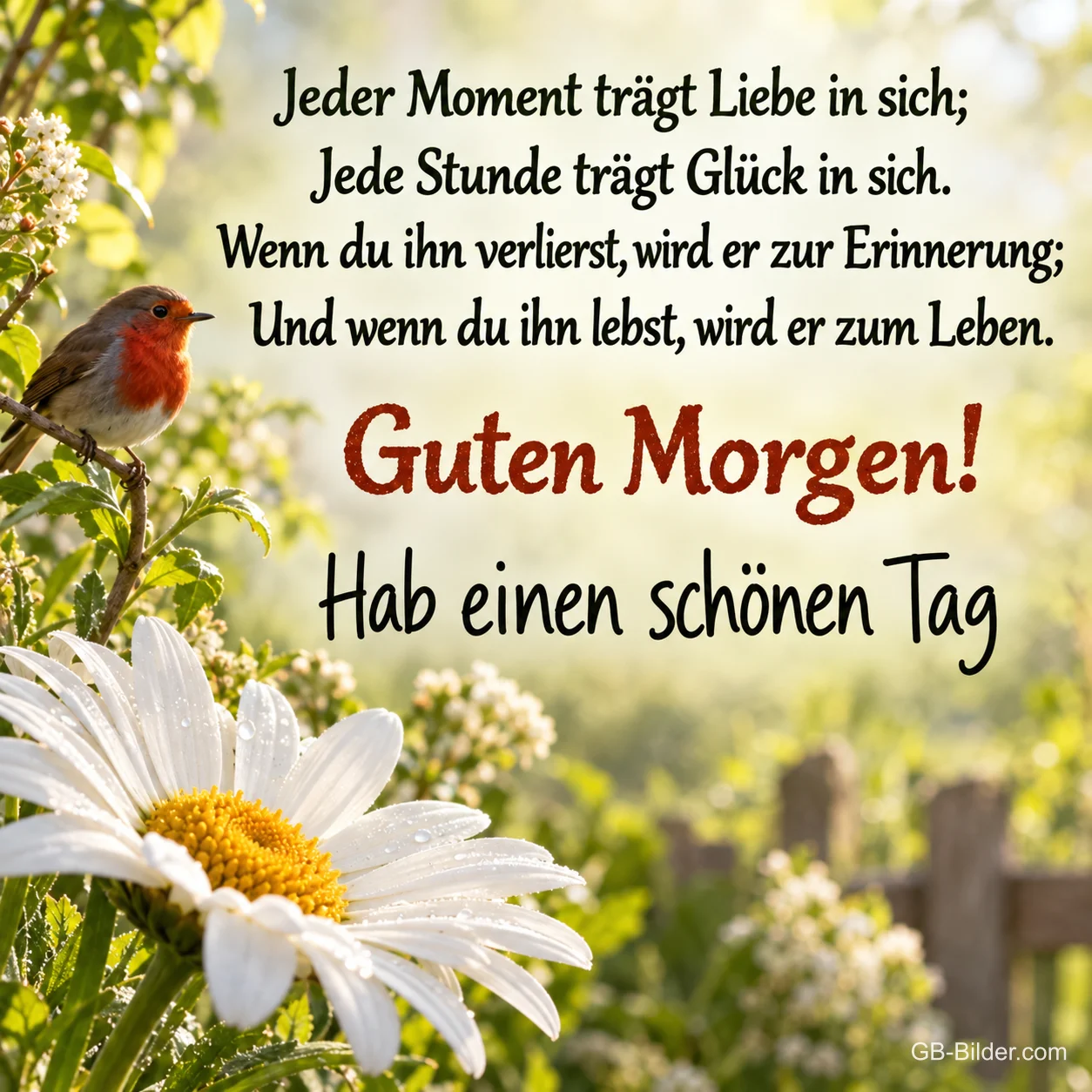 Rotkehlchen und Margerite, Spruch: Jeder Moment trägt Liebe in sich. Guten Morgen!