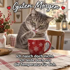 Graue Katze leckt an einer roten Tasse mit Schneeflocken, Text: Guten Morgen – Ich nasch doch nicht. Ich teste doch nur die Temperatur für dich.