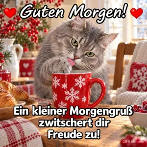 Graue Katze leckt an einer roten Schneeflockentasse, Text: Guten Morgen! Ein kleiner Morgengruß zwitschert dir Freude zu!