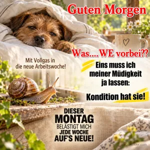 Müder Hund unter der Bettdecke, davor eine Schnecke, Text: Guten Morgen – Was…. WE vorbei?? Mit Vollgas in die neue Arbeitswoche! Eins muss ich meiner Müdigkeit ja lassen: Kondition hat sie! DIESER MONTAG BELÄSTIGT MICH JEDE WOCHE AUF’S NEUE!