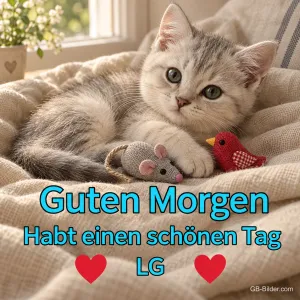 Graues Kätzchen liegt mit Stoffmaus und Stoffvogel auf einer Decke, Text: Guten Morgen – Habt einen schönen Tag – LG