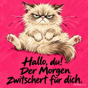 Zerzauste Katze sitzt grimmig breitbeinig vor pinkem Hintergrund, Text: Hallo, du! Der Morgen zwitschert für dich.