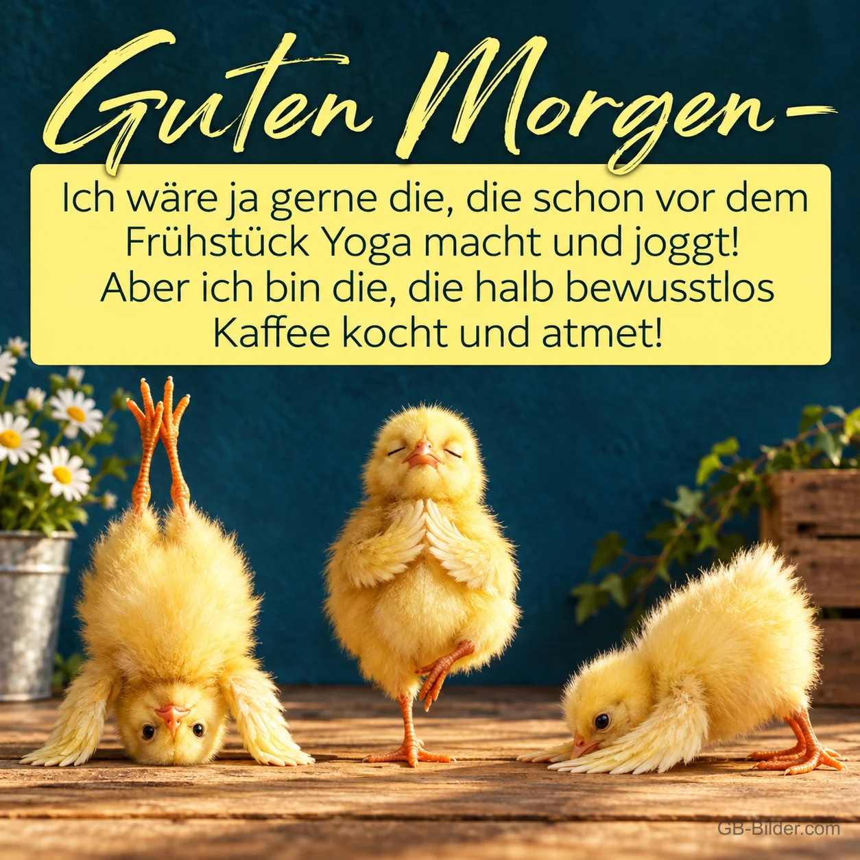 Drei Küken machen Yoga auf einem Holztisch, Text: Guten Morgen – Ich wäre ja gerne die, die schon vor dem Frühstück Yoga macht und joggt! Aber ich bin die, die halb bewusstlos Kaffee kocht und atmet!