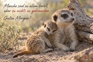Zwei Erdmännchen kuscheln an einem Baumstamm, Text: Manche sind zu allem bereit, aber zu nichts zu gebrauchen. Guten Morgen!