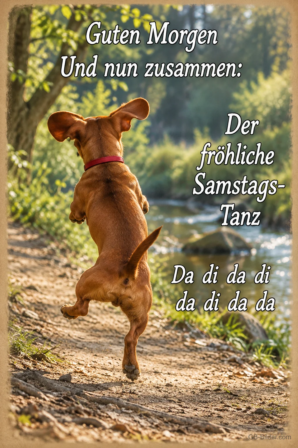 Dackel tanzt auf den Hinterbeinen auf einem Waldweg, Text: Guten Morgen – Und nun zusammen: Der fröhliche Samstags-Tanz – Da di da di da di da da Dackel tanzt auf den Hinterbeinen auf einem Waldweg, Text: Guten Morgen – Und nun zusammen: Der fröhliche Samstags-Tanz – Da di da di da di da da