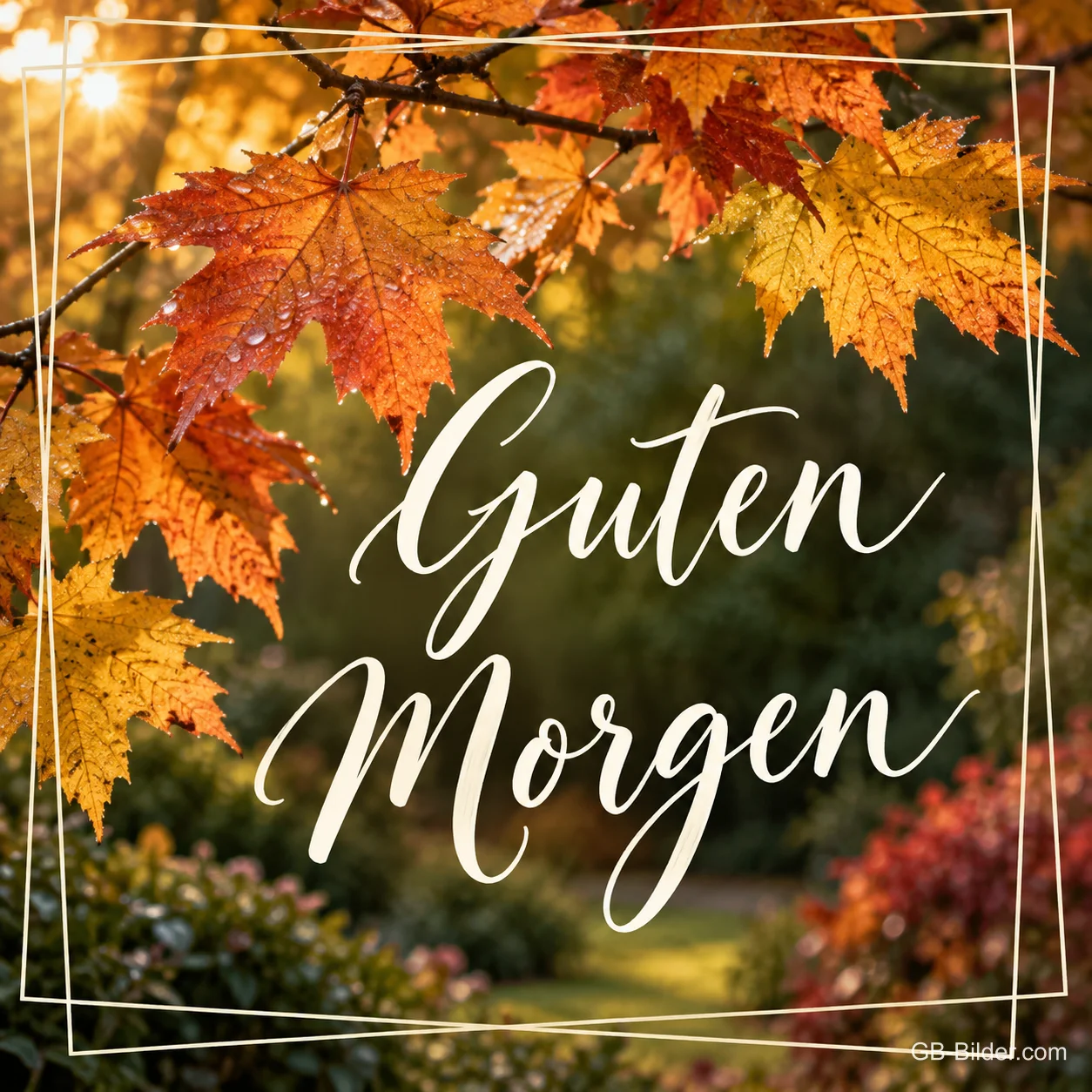 Rote und orange Ahornblätter mit weißem Rahmen, Text: Guten Morgen
