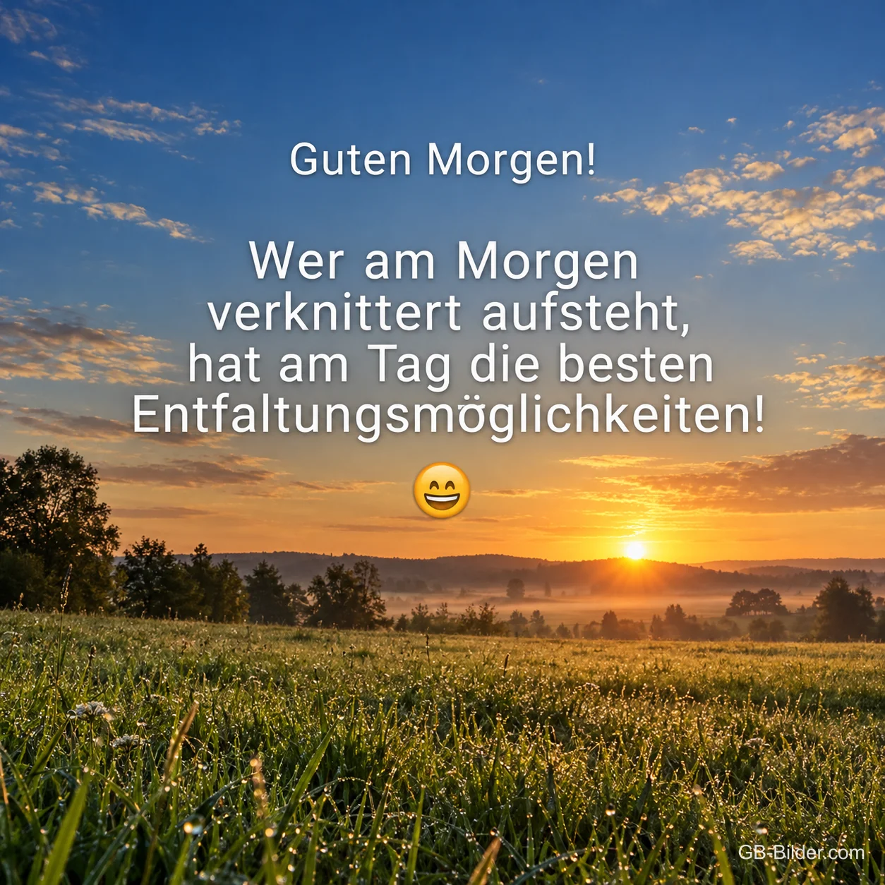 Sonnenaufgang über einer taufrischen Wiese, Text: Guten Morgen! Wer am Morgen verknittert aufsteht, hat am Tag die besten Entfaltungsmöglichkeiten! Sonnenaufgang über einer taufrischen Wiese, Text: Guten Morgen! Wer am Morgen verknittert aufsteht, hat am Tag die besten Entfaltungsmöglichkeiten!