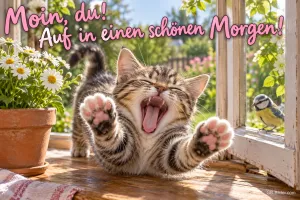 Getigertes Kätzchen streckt sich gähnend am offenen Fenster, eine Meise schaut zu, Text: Moin, du! Auf in einen schönen Morgen!